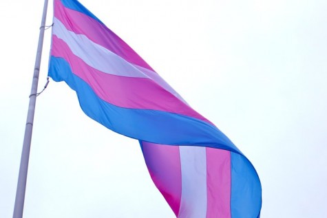 Gender Neutral Bathroom Promotes Equality