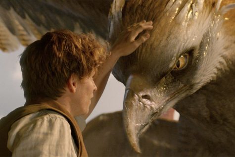 Fantastic Beasts and Where to Find Them Review