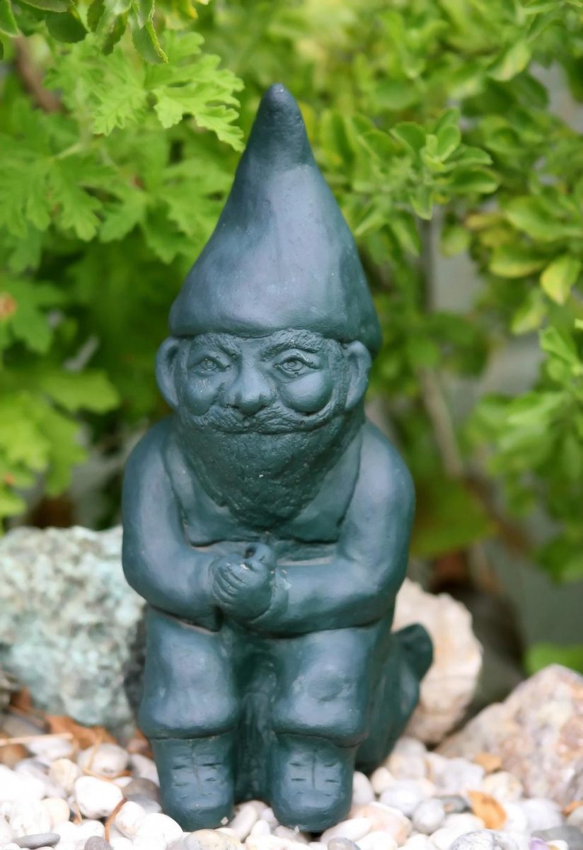 How to Tell if Your Friend is a Gnome