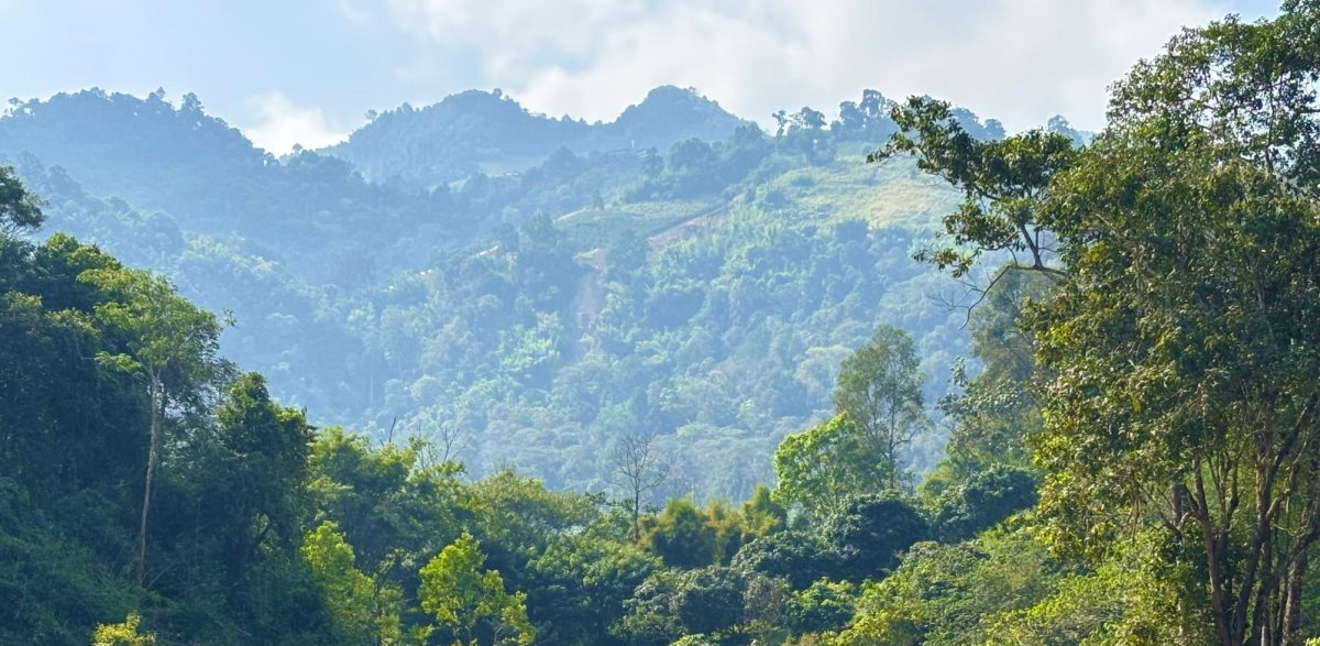 A Trip to Thailand: